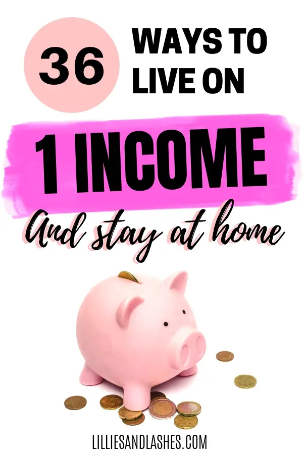 living-on-one-income-in-a-two-income-world